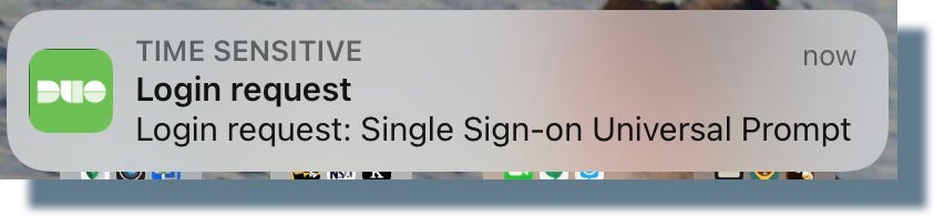 Tap on or slide the Duo push notification on your mobile device to open it.