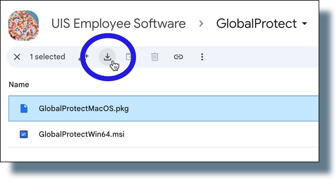 Select the file "GlobalProtectMacOS.pkg" and then click on the file download button.
